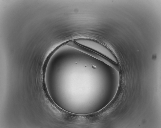 X0000089360787200706221159