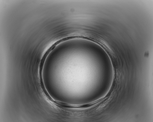 X0000089360788200706221159