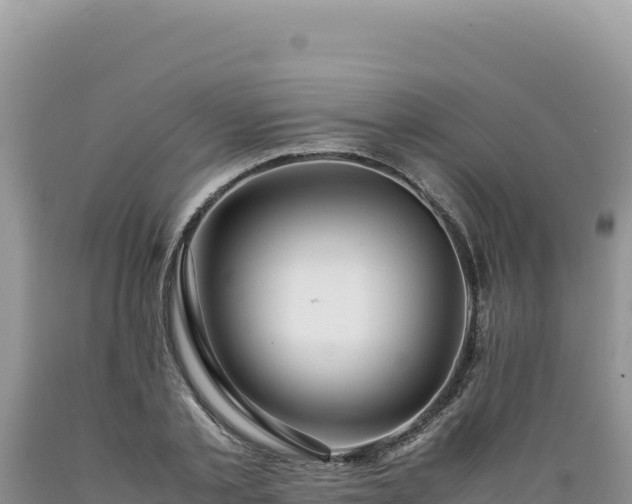 X0000089360789200706221159
