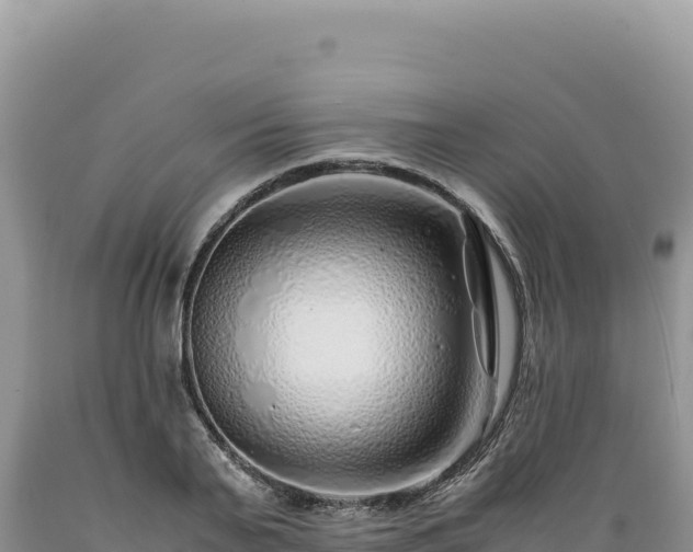 X0000089360791200706221159