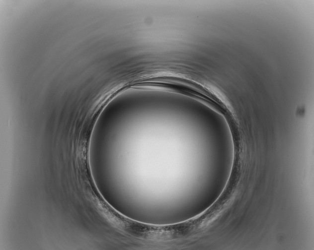 X0000089360793200706221159