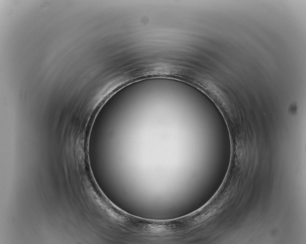 X0000089360794200706221159