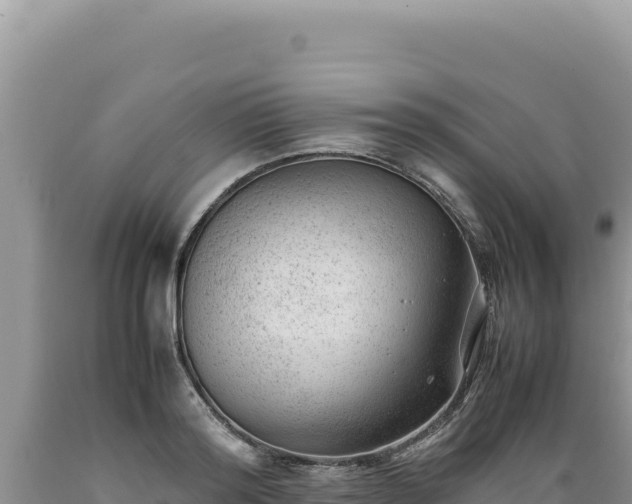 X0000089360796200706221159