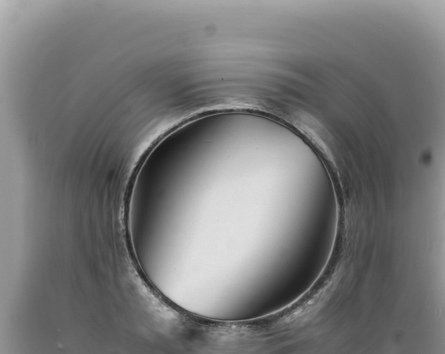 X0000089360797200706221159