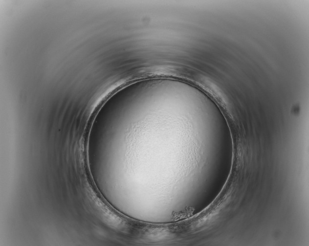 X0000089360798200706221159