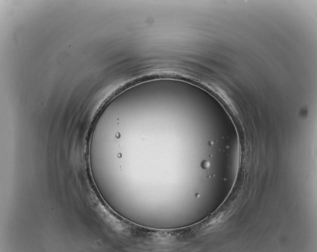 X0000089360799200706221159