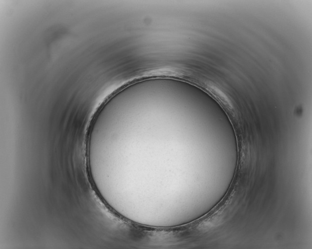 X0000089360800200706221159