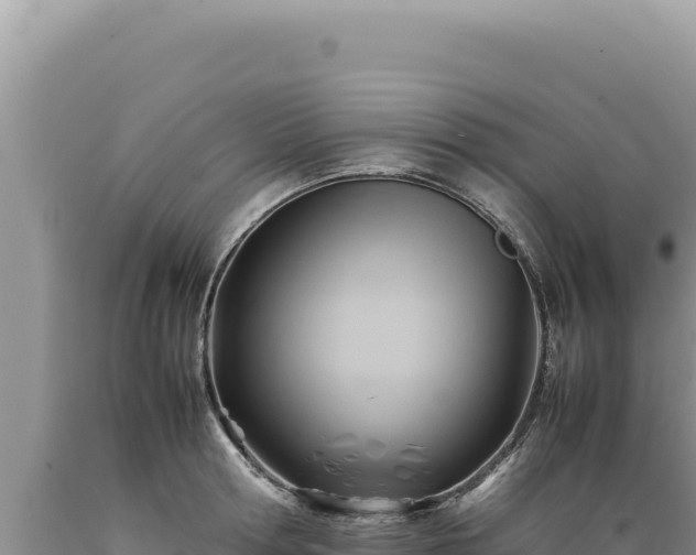 X0000089360802200706221159