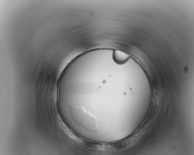 X0000089360804200706221159