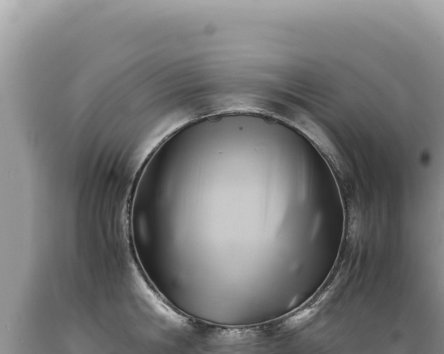 X0000089360806200706221159