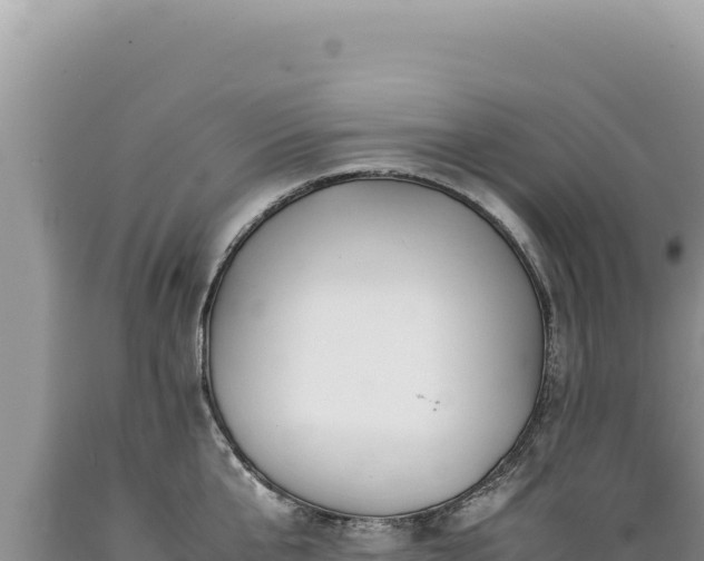 X0000089360807200706221159