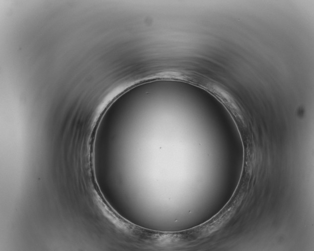 X0000089360808200706221159