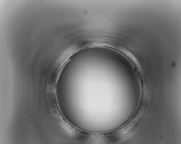 X0000089360809200706221159