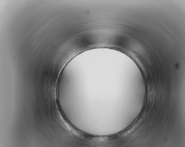 X0000089360810200706221159