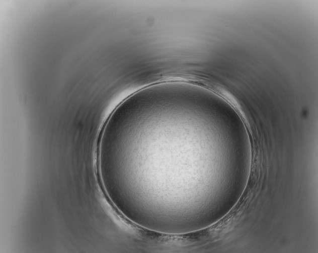 X0000089360811200706221159