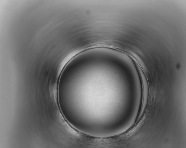 X0000089360812200706221159