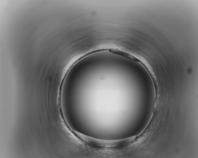 X0000089360815200706221159
