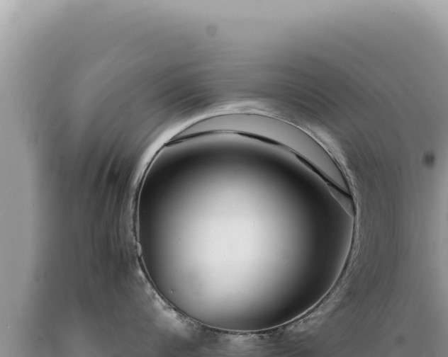 X0000089360816200706221159
