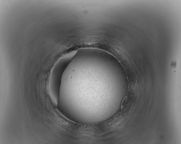X0000089360817200706221158