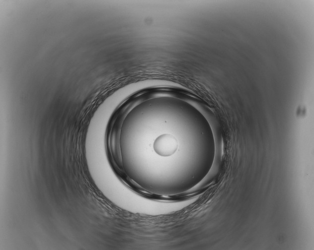 X0000089360818200706221158