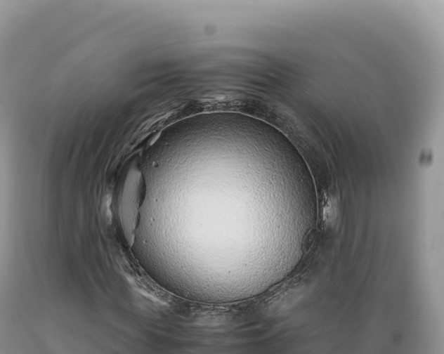 X0000089360819200706221158