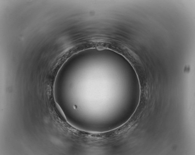X0000089360821200706221158
