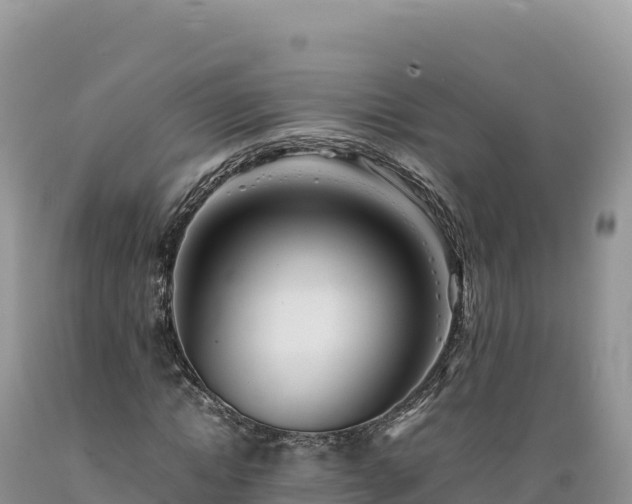 X0000089360822200706221158