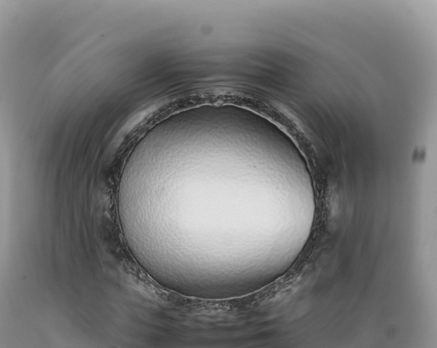 X0000089360823200706221158