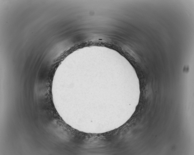 X0000089360824200706221158