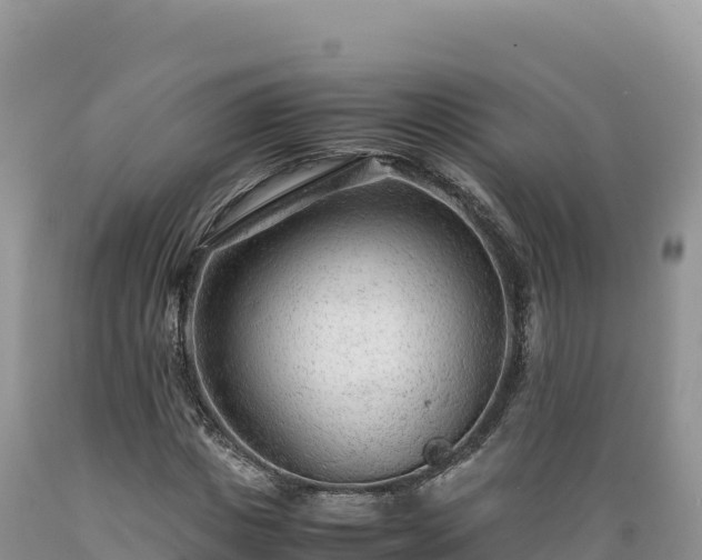 X0000089360825200706221158