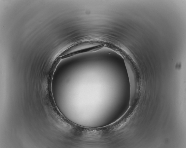 X0000089360826200706221158