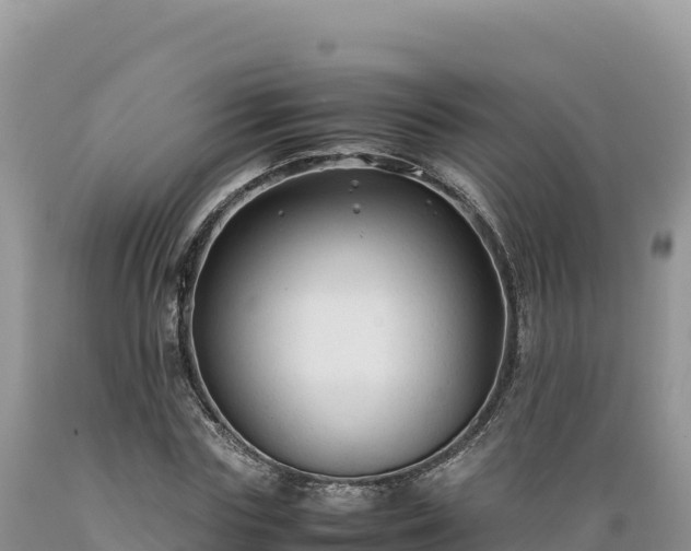 X0000089360827200706221158
