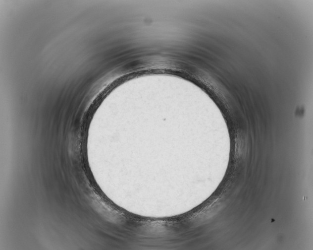 X0000089360828200706221158