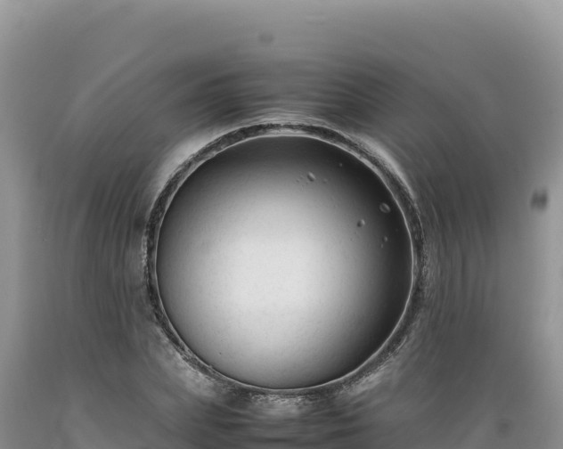 X0000089360831200706221158