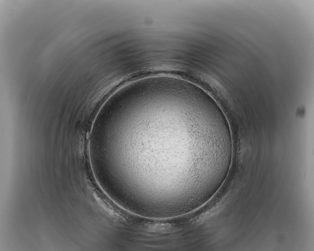 X0000089360833200706221158