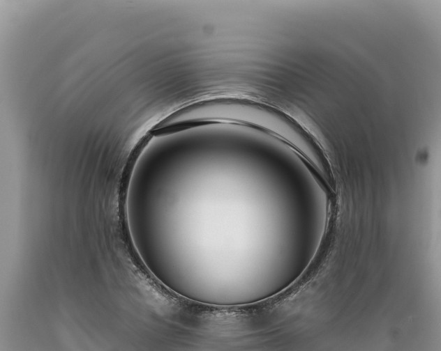 X0000089360834200706221158