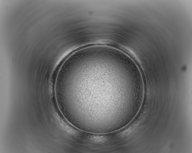 X0000089360835200706221158