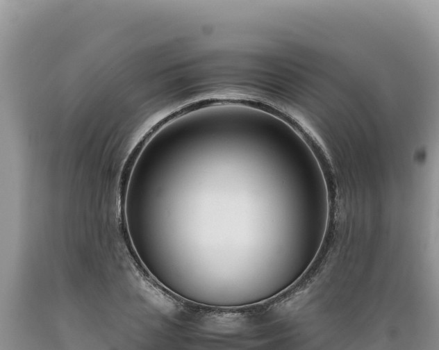 X0000089360837200706221158