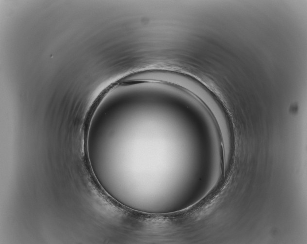 X0000089360838200706221158