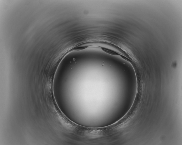 X0000089360841200706221158