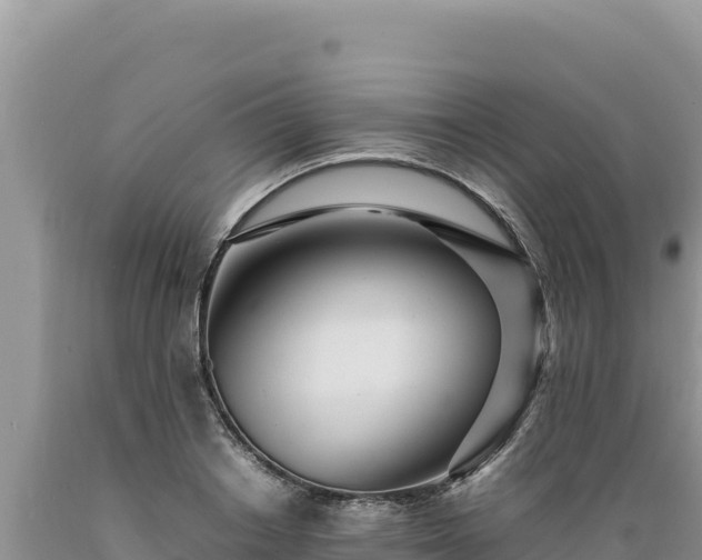 X0000089360842200706221158