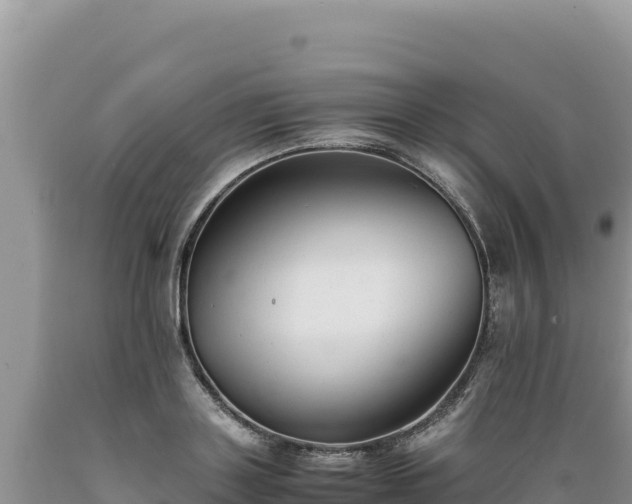 X0000089360843200706221158