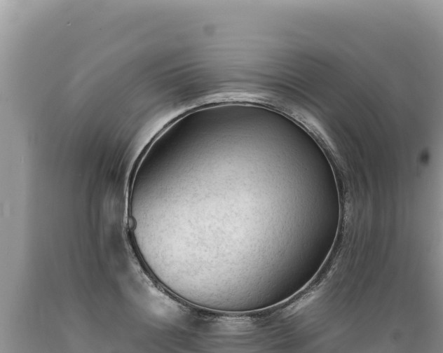 X0000089360844200706221158