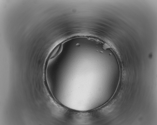 X0000089360845200706221158