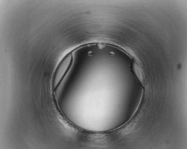 X0000089360846200706221158