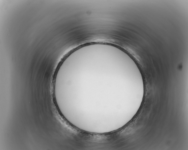 X0000089360848200706221158
