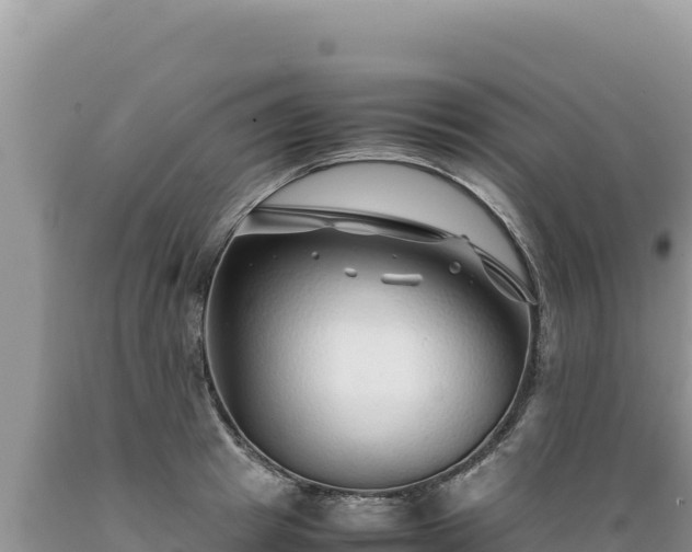 X0000089360849200706221158