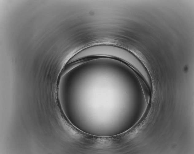 X0000089360850200706221158