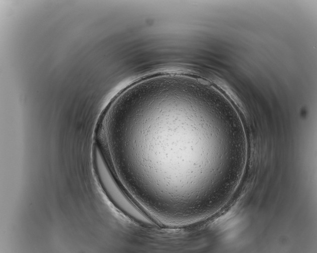 X0000089360853200706221158