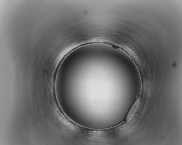 X0000089360854200706221158